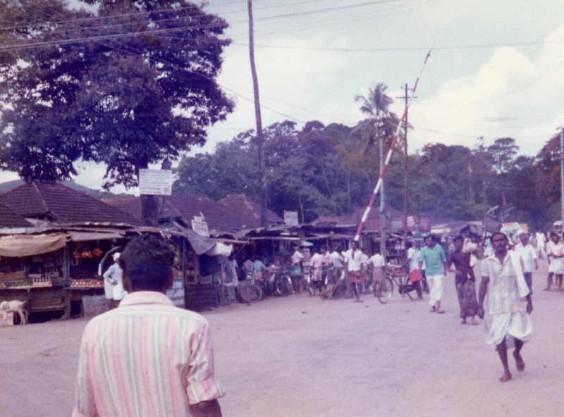 Kumily Grenze Tamil Nadu